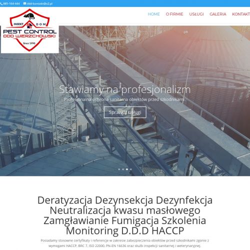 Zwalczanie karaluchów w Radomiu