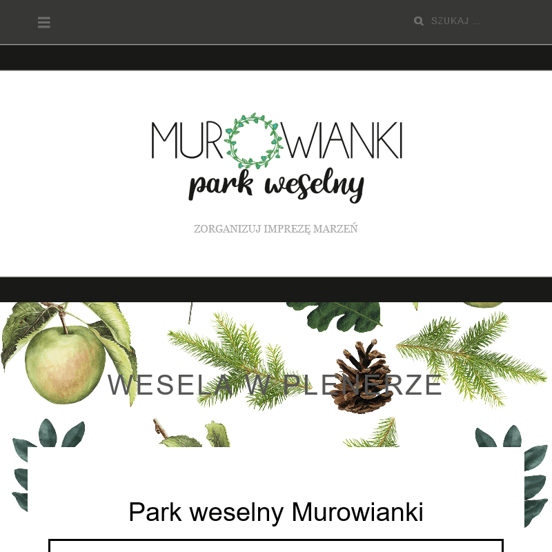 Sala weselna - Kalisz