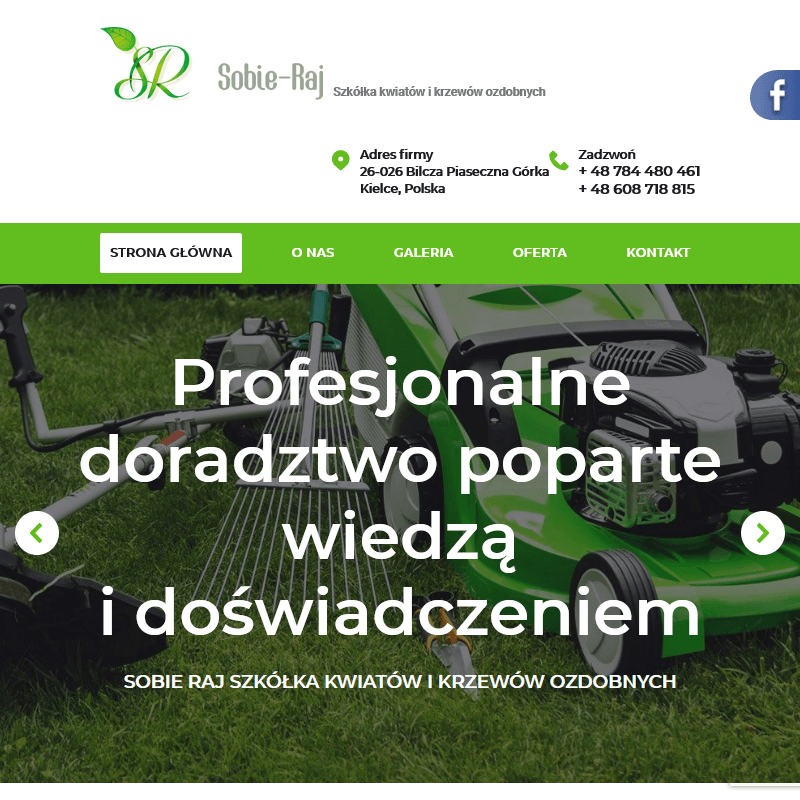 Kielce - sprzedaż wrzosów